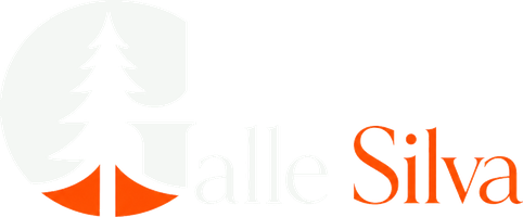Galle Silva